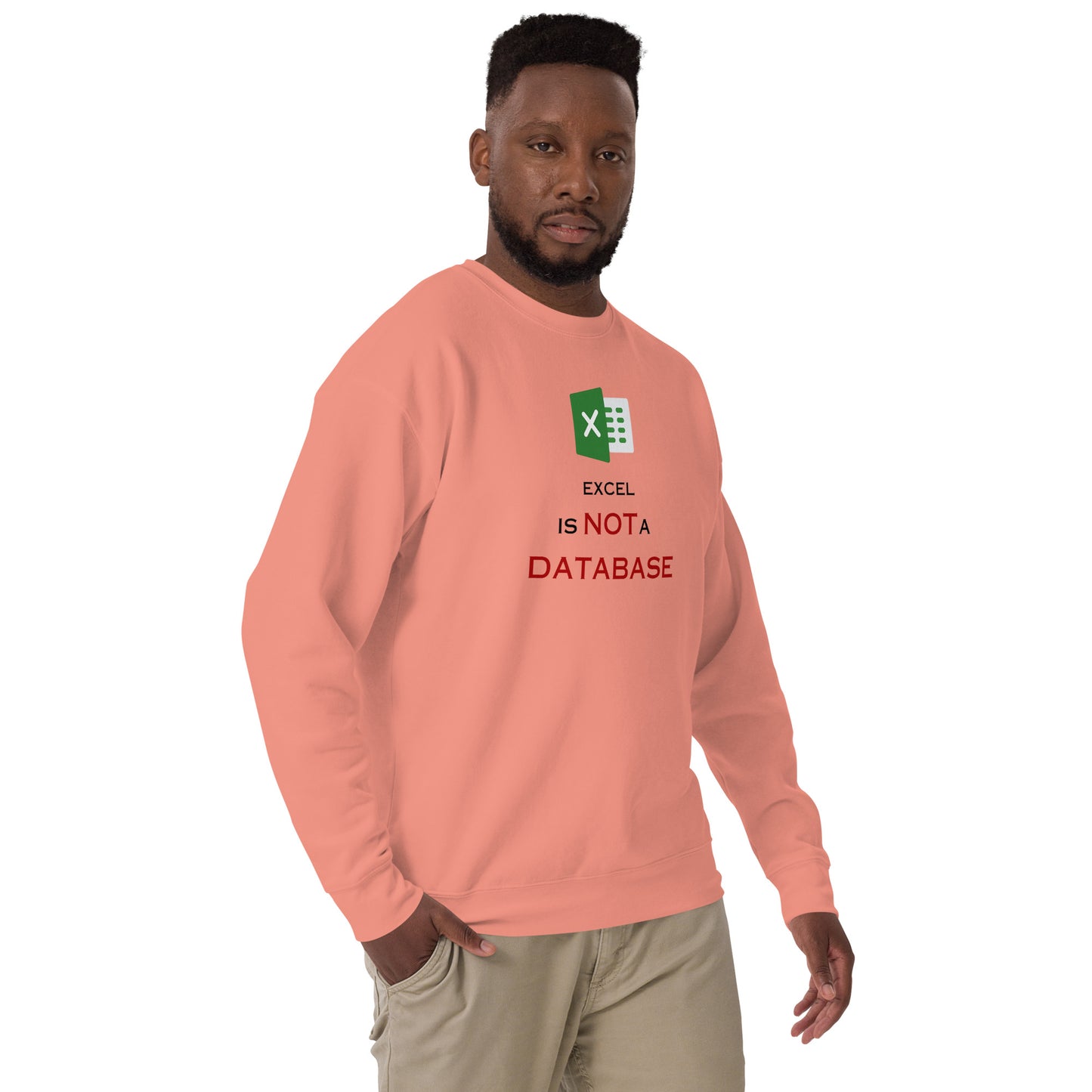 Excel Not a DB Sweatshirt
